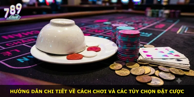 Hướng dẫn chi tiết về cách chơi và các tùy chọn đặt cược