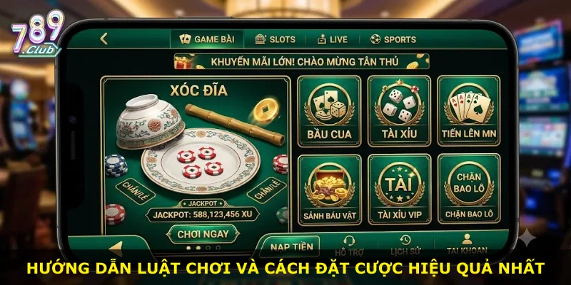 Hướng dẫn luật chơi và cách đặt cược hiệu quả nhất